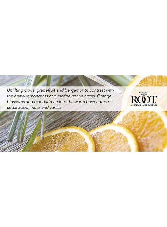Root Candles 887041 Honeycomb Veriglass Scented Beeswax Blend Candle Large Tangerine Lemongrass - Image 2