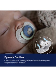 Silicone Dynamic Soother 0-3m 2 pcs Night&Day Boy - pzsku/Z25AA1565A679BCD1F428Z/45/_/1708513380/e818ed07-3a6f-4f59-9b3a-1fcbc5f9f171