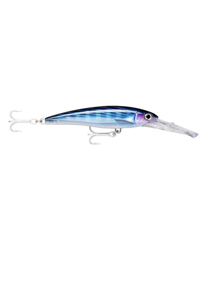 رابالا ربل  اكسرب  ماجنوم  20 ه د  بنيته