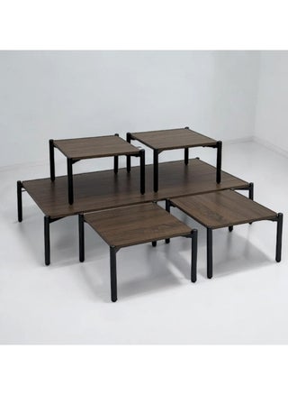 طقم من 5 قطع، طاولات قهوة للخدمة على الأرض 1+4 - pzsku/Z25ABD1D9E1E910CA503FZ/45/_/1722462262/43942225-71e9-4ee0-93ff-662a0d8fed1f