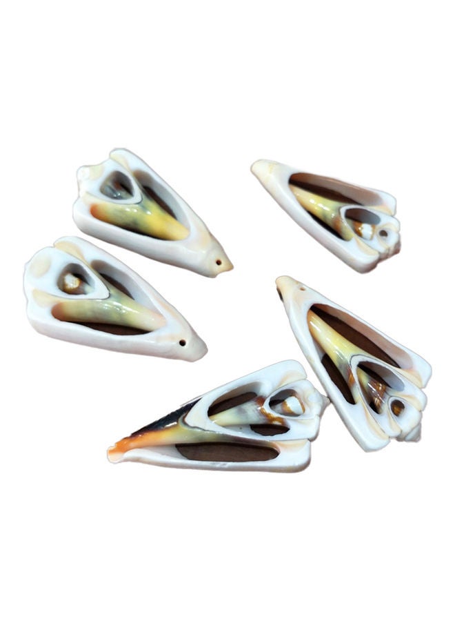 NIBEMINENT Varied Size Seashells Mixed for Beach Theme Multicolour 20.00 x 5.00 15.00cm - Image 1