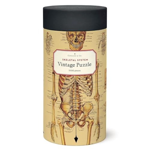 CAVANILLI & CO. Cavallini Papers & Co. Skeletal System 1,000 Piece Puzzle, Multi - Image 1
