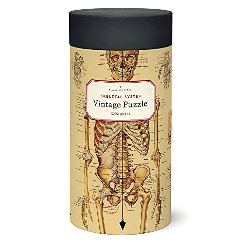 CAVANILLI & CO. Cavallini Papers & Co. Skeletal System 1,000 Piece Puzzle, Multi - Image 4
