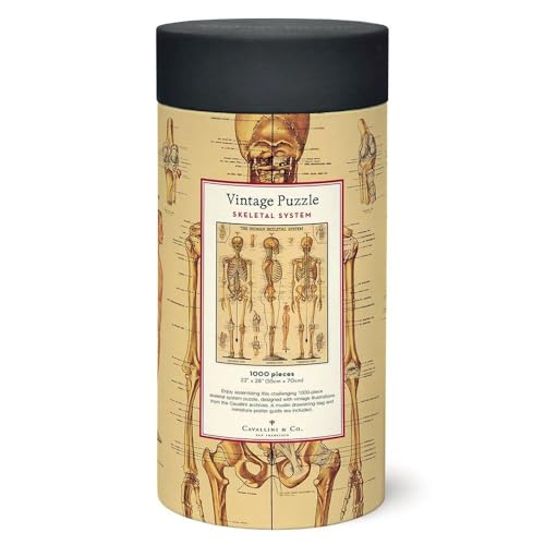 CAVANILLI & CO. Cavallini Papers & Co. Skeletal System 1,000 Piece Puzzle, Multi - Image 3