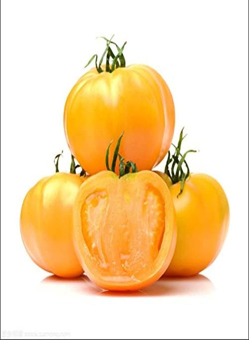 GGOOT 100pcs Tomato Seeds Indoor Outdoor Planting Sowing Throughout The Year Strong Adaptability Easy to Survive Perennial Vegetable - Image 1