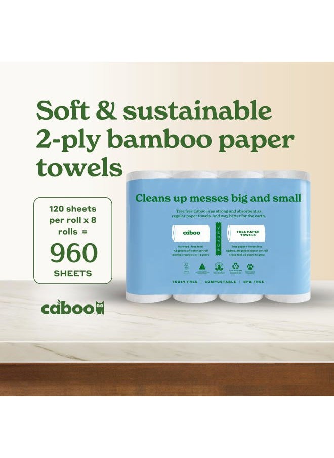 CABOO - Tree Free Paper Towels, 8 Rolls, Earth Friendly Sustainable Kitchen Paper Towels with Strong 2 Ply - Image 1