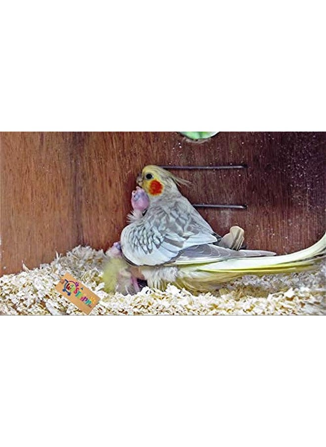 Western Era - Natural Wood Shaving Soft Nesting Material For Birds (500Grm) - Image 1
