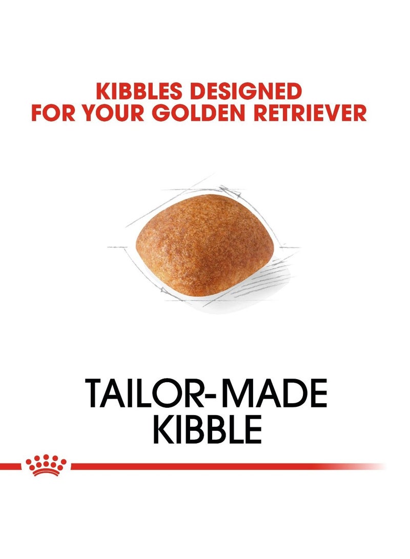 رويال كانين - تغذية صحية لسلالات الكلاب جولدن ريتريفر البالغة - وزن 12 كجم - Image 2