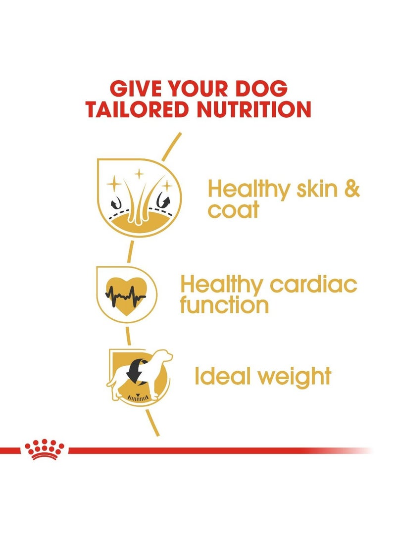 رويال كانين - تغذية صحية لسلالات الكلاب جولدن ريتريفر البالغة - وزن 12 كجم - Image 4