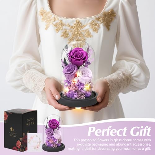 Casaido Preserved Roses Flowers for Delivery Mothers Day Rose Gifts for Mom Her Purple Forever Flores in Glass Dome for Wife Girlfriend Grandma Anniversary Birthday Gift for Vanlentines Christmas - Image 3