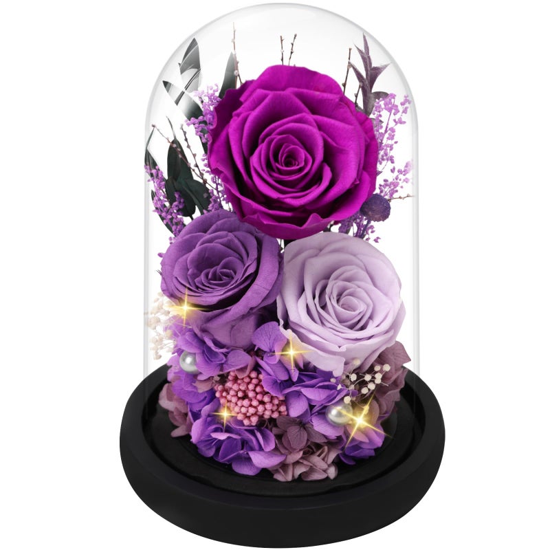 Casaido Preserved Roses Flowers for Delivery Mothers Day Rose Gifts for Mom Her Purple Forever Flores in Glass Dome for Wife Girlfriend Grandma Anniversary Birthday Gift for Vanlentines Christmas - Image 2