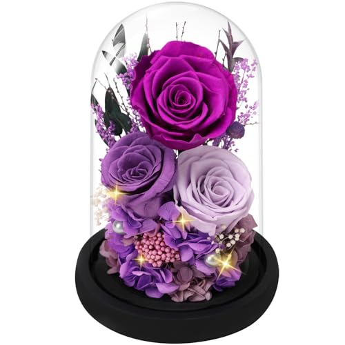Casaido Preserved Roses Flowers for Delivery Mothers Day Rose Gifts for Mom Her Purple Forever Flores in Glass Dome for Wife Girlfriend Grandma Anniversary Birthday Gift for Vanlentines Christmas - Image 1