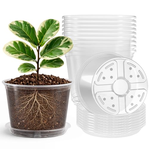 Bluepro 8 Packs 8 Inch Reinforced Large Clear Nursery Pots with Saucers, Transparent Plastic Plant Pot Seedling Planter with Drainage Holes for Vegetable Propagation, Root Cutting, Seed Starting - Image 1