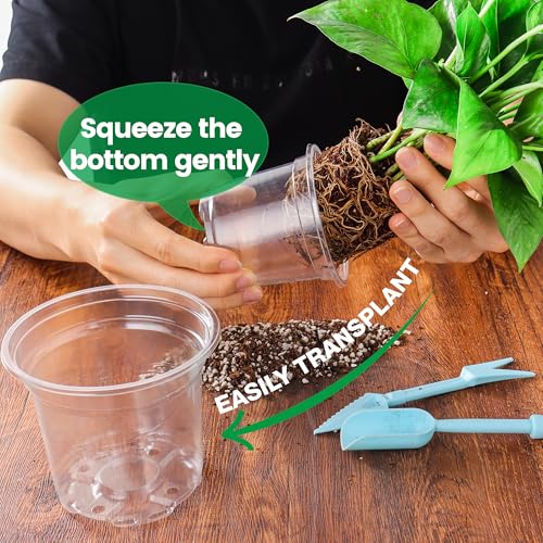 Bluepro 8 Packs 8 Inch Reinforced Large Clear Nursery Pots with Saucers, Transparent Plastic Plant Pot Seedling Planter with Drainage Holes for Vegetable Propagation, Root Cutting, Seed Starting - Image 5