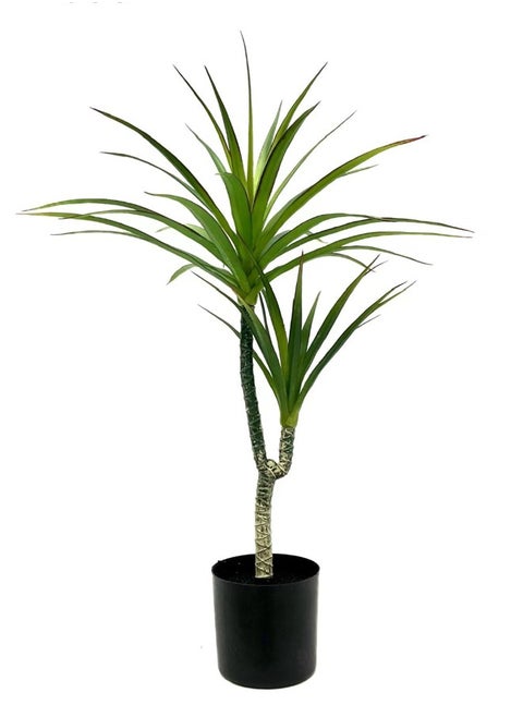 Artificial Tree With Two Branches of Yucca Tree For Home And Office Decoration, Height 70 cm