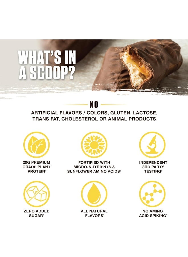 Ambrosia Planta - Premium Organic Plant-Based Protein | Vegan & Keto Friendly | Gourmet Flavors With No Bloating Or Stomach Upset | Gluten & Soy Free | No Added Sugar | 14 Servings | (Candy Bar) - Image 4