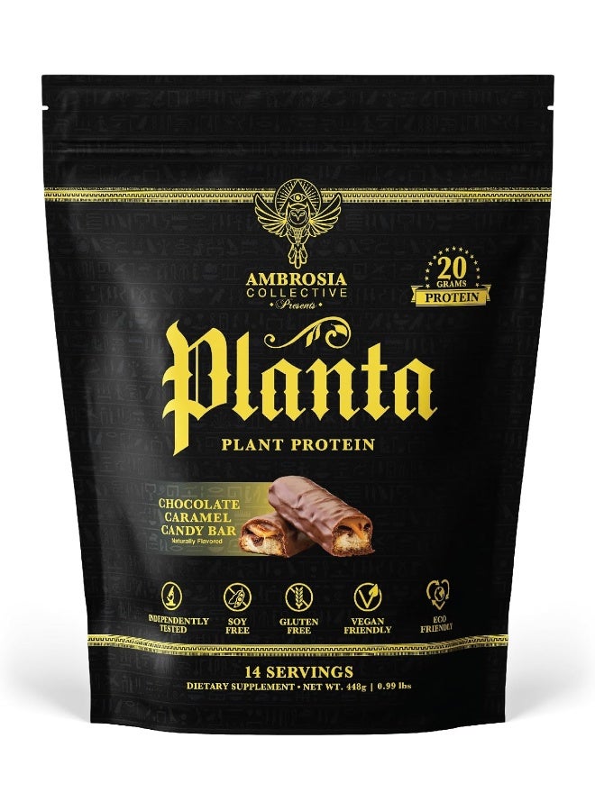 Ambrosia Planta - Premium Organic Plant-Based Protein | Vegan & Keto Friendly | Gourmet Flavors With No Bloating Or Stomach Upset | Gluten & Soy Free | No Added Sugar | 14 Servings | (Candy Bar) - Image 1