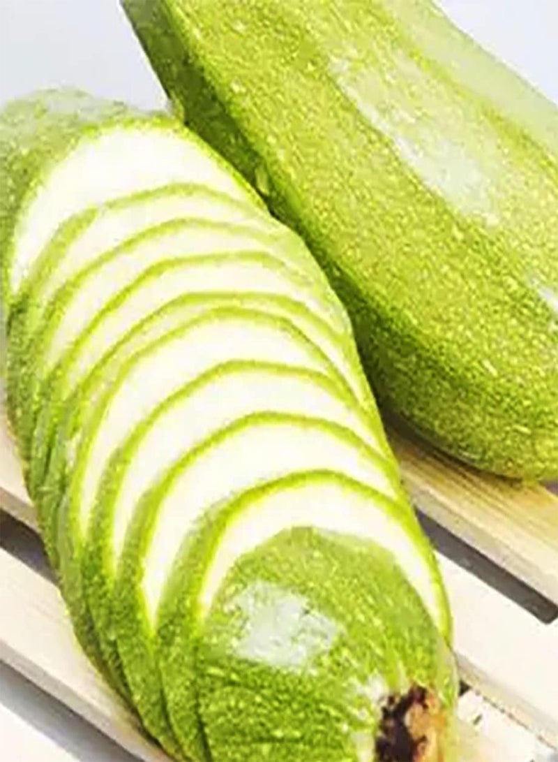 GGOOT 30pcs Graines De Courgettes Légumes Graines D'héritage Non OGM Valeur Décorative Plantation De Cultures Facile À Faible Entretien Convient Aux Jardiniers Novices - Image 2