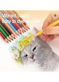 Deli Deli EC00300 COLORUN Basswood Triangular Barrel Pre-Sharpened Colored Pencils, 12 Colors, Smooth Coloring, Easy to Sharpen  - Image 4