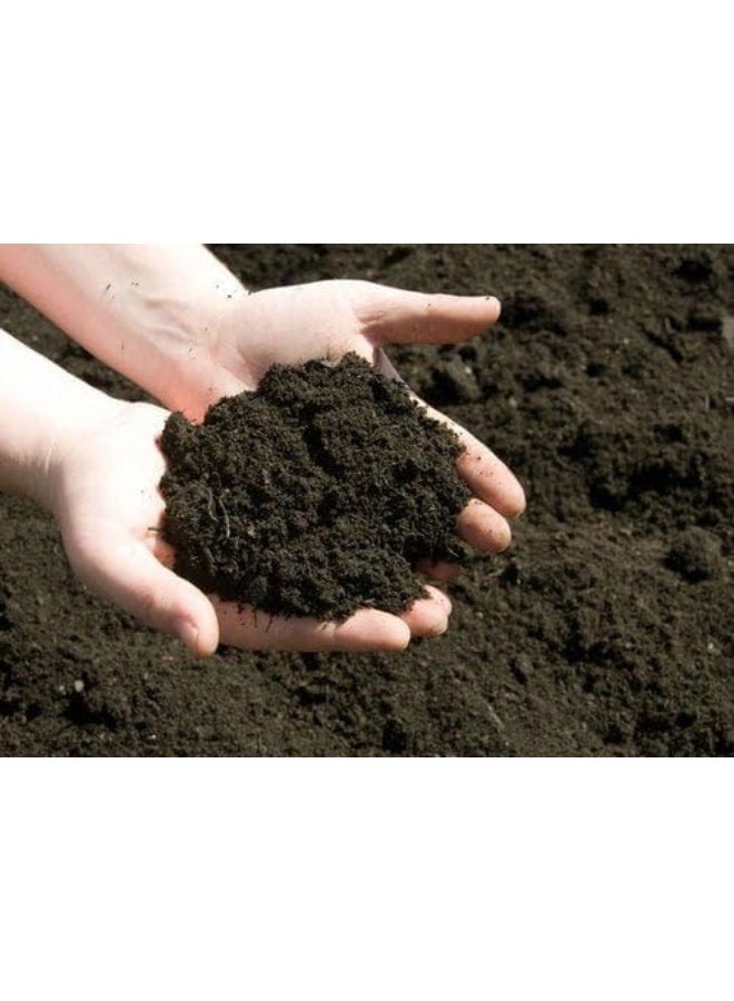 Components for preparing sterilized agricultural soil suitable for indoor and outdoor cultivation - (Vermicompost pond 2 kg) - Image 2