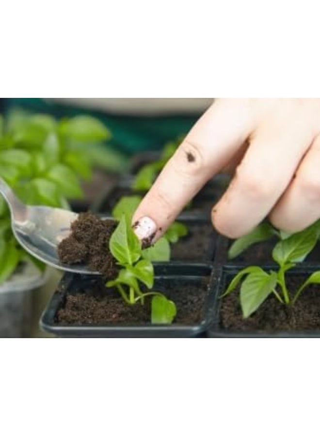 Components for preparing sterilized agricultural soil suitable for indoor and outdoor cultivation - (Vermicompost pond 2 kg) - Image 4