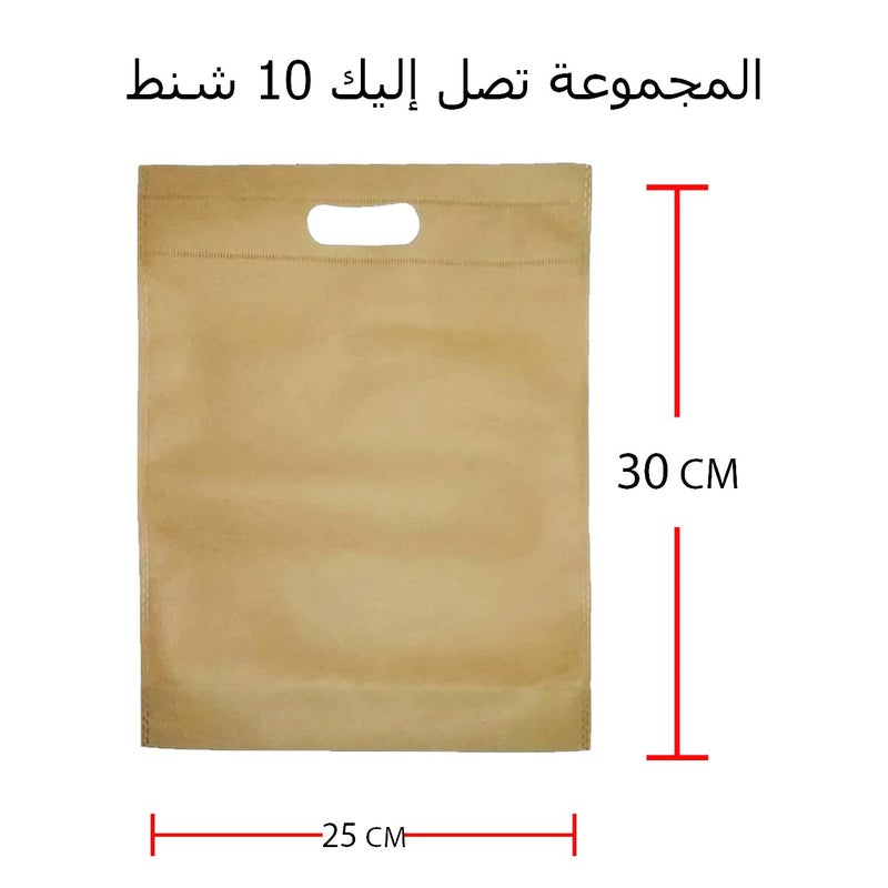 10 Piece Non Woven Polyester Fabric Gift Bags 30x25 cm (Beige) - Image 2