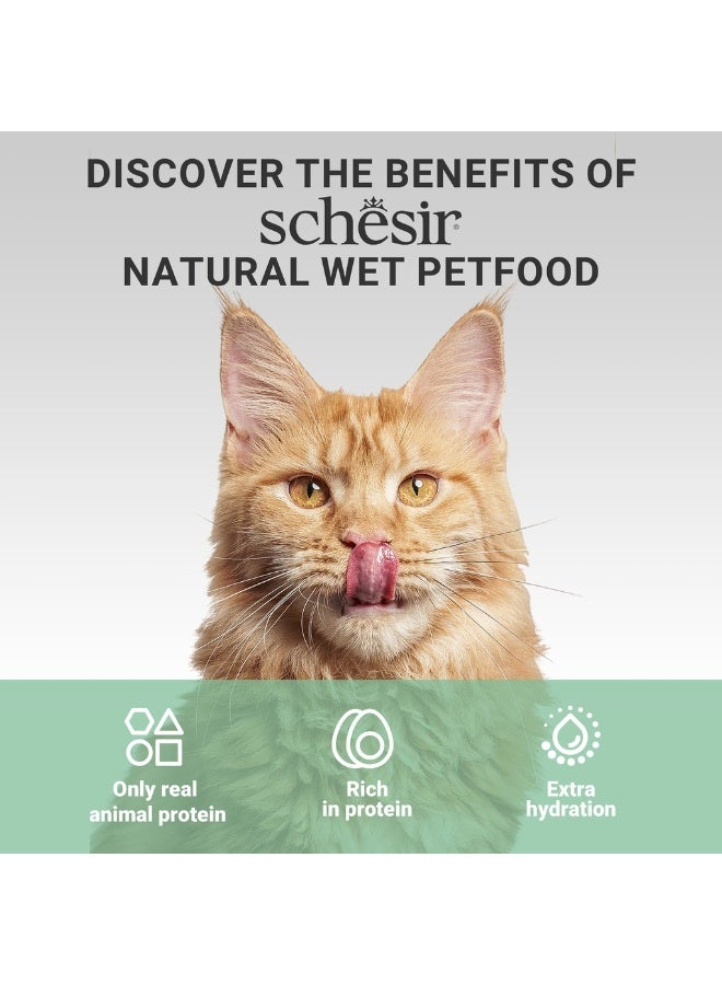 Schesir Complements Cat Wet Food in Broth- Chicken with Beef 70g [MOQ:12pcs] - Image 5
