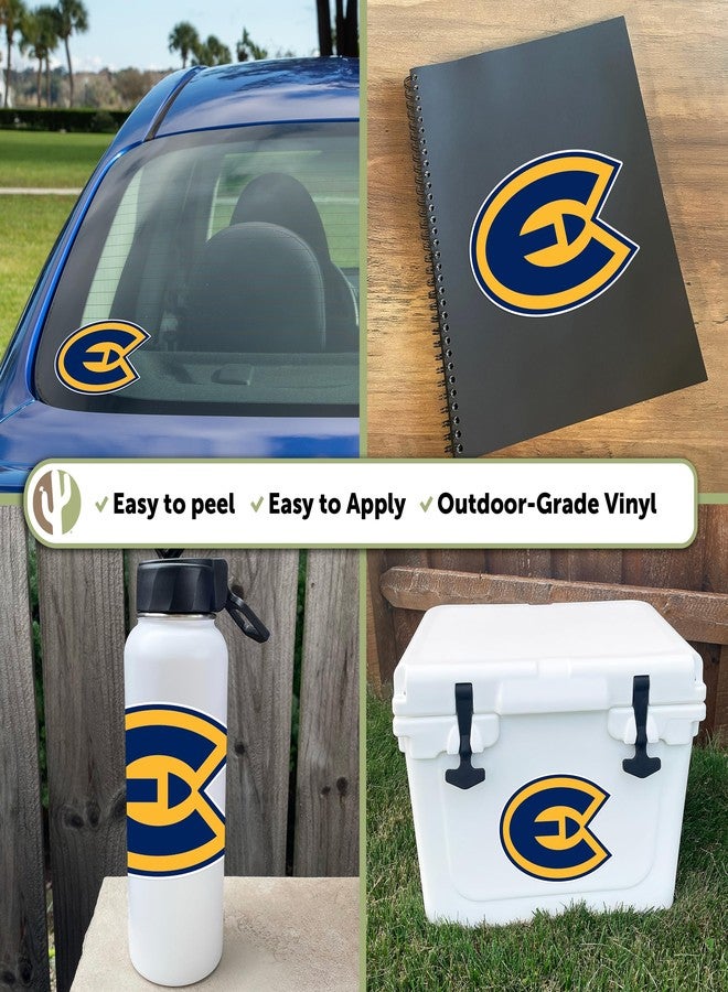 Desert Cactus University of Wisconsin Eau Claire UWEC Blugolds Vinyl Decal Laptop Water Bottle Car Scrapbook Sticker (IND 00001) - Image 2
