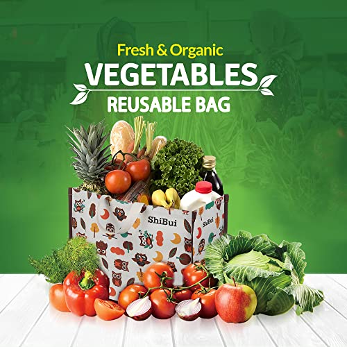 SHIBUI Big Heavy Duty Large Eco Waterproof Cotton Canvas Cloth Grocery Shopping Bag for Men Ladies Vegetable Milk Fruits with Hand Carry Handle Lunch Box Jhola Tote Bags (Owl) (1) - Image 4