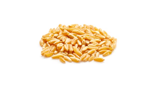 Yupik Organic Kamut Grains, 2.2 lb (35.2 oz), Non-GMO, Vegan, Kosher, Raw Whole Grains, Khorasan Wheat, Nutty Flavor, Source of Fiber & Iron, Ideal for Cooking & Sprouting - Image 3