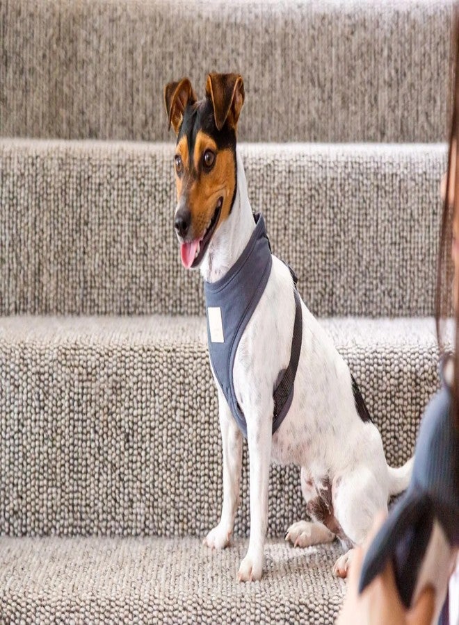 FuzzYard Life Cotton Adjustable Dog Harness, Solid Colors (Slate Grey, Extra Large) - Image 2