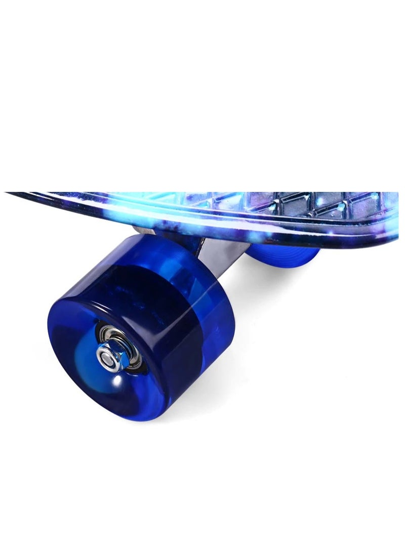 27" Pany Skateboard PU Wheels Fish Shape With Carry Bag & Tool, Blue Sky