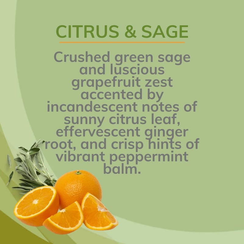 Citrus Magic Odor Eliminating Air Freshener Spray  Citrus and Sage  3-Ounce  Pack of 3 - Image 4