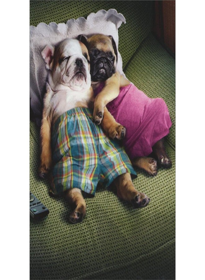 Avanti Press Two Dogs Snuggling on Green Couch Funny/Humorous Anniversary Congratulations Card - Image 1
