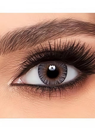 Fresh Lock one day color Lenses Played From 10pcs Attractive Gray Color For Single Use Without Force Correction - pzsku/Z25BD8AFE5B43F802EE57Z/45/1747132994/0877047c-cb45-4f0a-a08d-04064e6141a7
