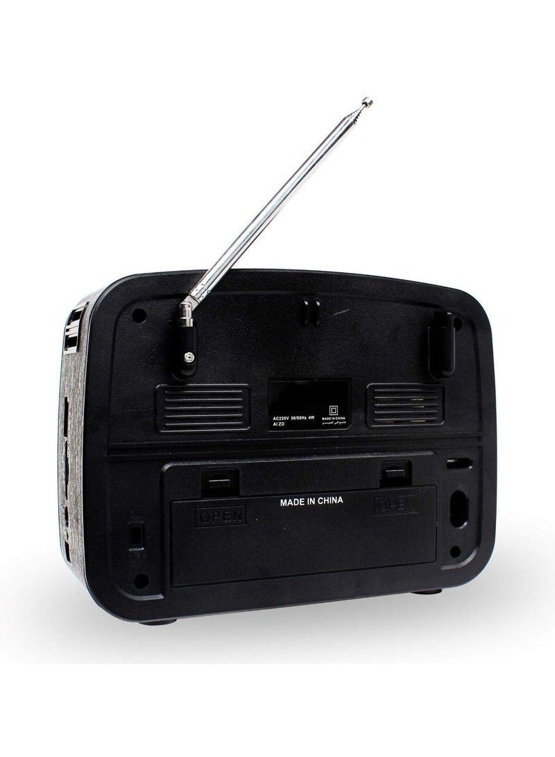 Denx Rechargeable Radio, Portable Radio AM FM Transistor with Best Sound, Solar/Battery Operated Radio, Support TF Card/USB Playing,DX2451 - Image 4