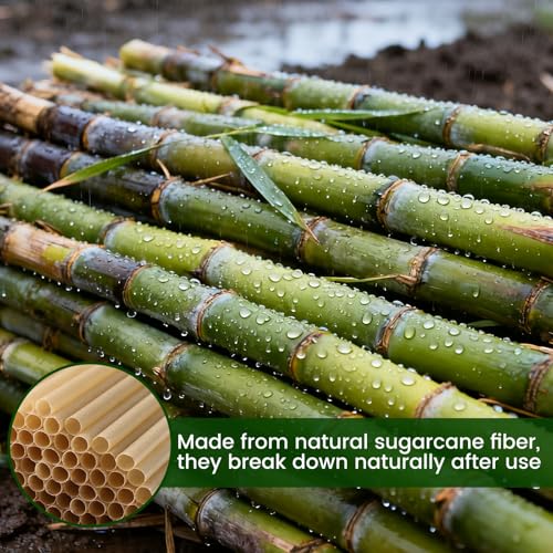 HANSGO Cocktail Straws, 5 Inch Short Sugarcane Straws Disposable Mini Cocktail Stirrers for Bar, 100PCS, Natural Brown - Image 4