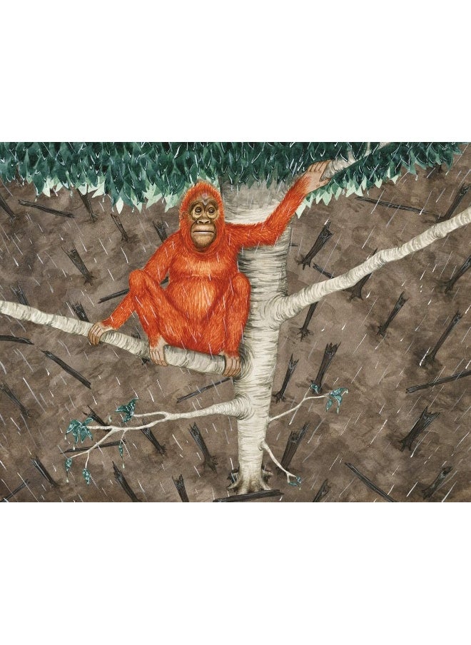 Buddy's Rainforest Rescue: A True Story About Deforestation  - Image 3