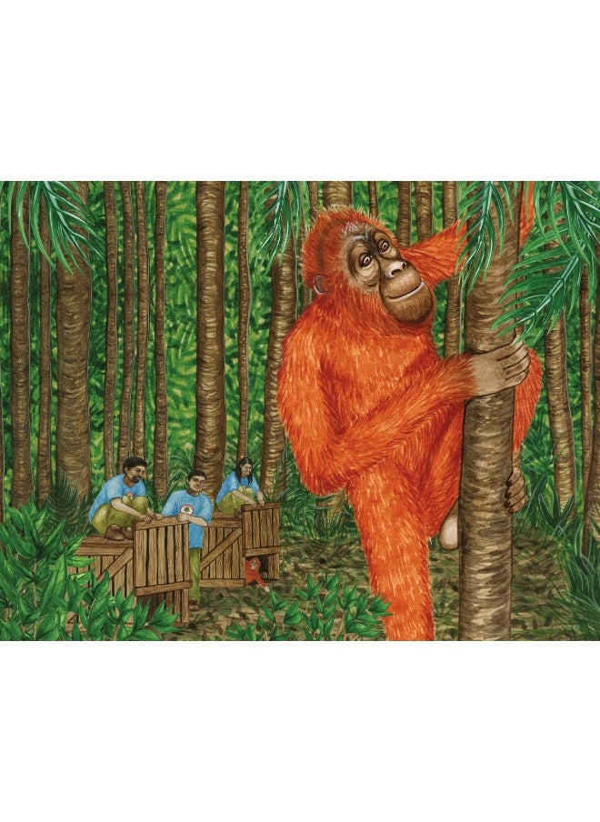 Buddy's Rainforest Rescue: A True Story About Deforestation  - Image 5