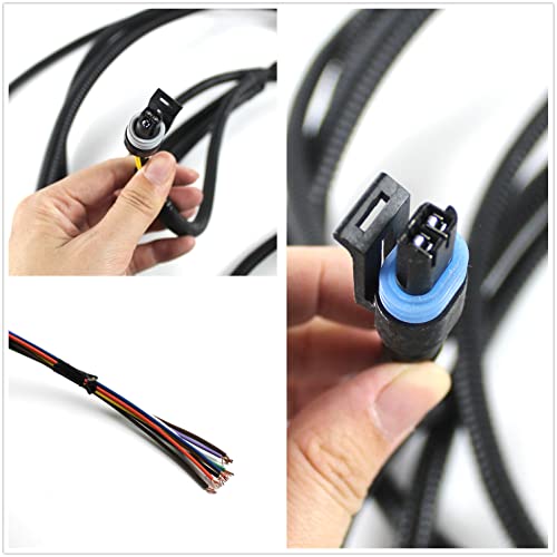 PANGOLIN W/4L80E Standalone Engine Wiring Harness 4L80E Stand Alone Engine Wire Harness for 1997-2006 DBC LS1 Engine ev1-Injector 4.8 5.3 6.0 W/4L80E Transmission Drive by Cable Aftermarket Part - Image 4