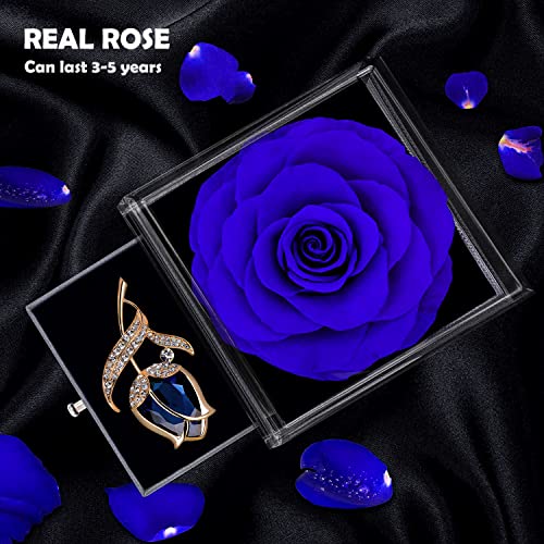 SWEETIME Preserved Rose Gift Enchanted Real Blue Rose with Sapphire Brooch, Eternal Flower Rose, Handmade Rose in Box with Pin, Forever Blue Rose Gift for her on Mother's Day, Birthday. - Image 3