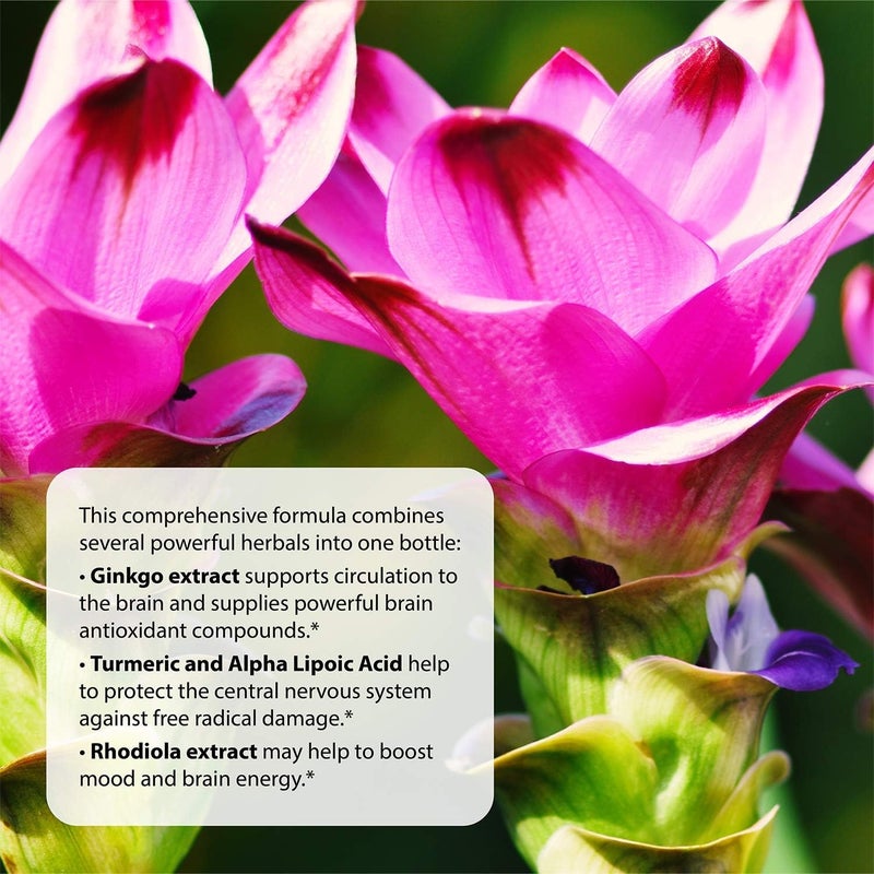 Applied Nutrition Healthy Brain AllDay Focus  50 Tablets Pack of 2  Powerful 3in1 Brain Booster with Turmeric Extract  50 Total Servings - Image 4