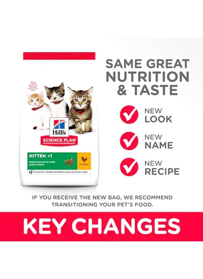 Science Plan Kitten Chicken Cat -300 Gm - pzsku/Z25C32AD6F76C666248CDZ/45/_/1679570799/0eb65820-87c6-4342-843e-cd5a32306c71