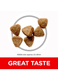 Hill's Science Plan Kitten Chicken Cat -300 Gm  - Image 3