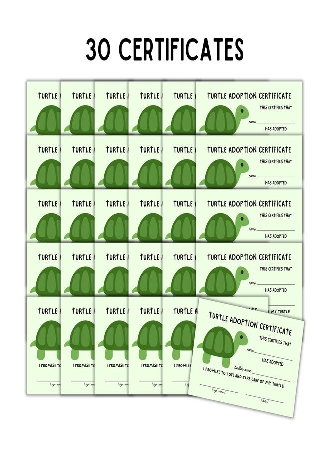 Lashicorn Turtle Adoption Certificate | 30pk 4x6” Tortoise Animal Exotic Adopt a Pet Farm How to Care for A Pet Store Child Birthday Party Certification - Image 2