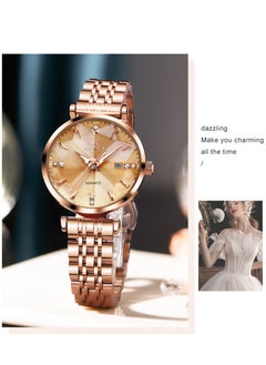 Watches for Women Stainless Steel Quartz Water Resistant Analog Watch 32mm 5536 - pzsku/Z25C3394E53C8B5971B0CZ/45/_/1712909381/ddfb96f5-d594-41cb-aad5-198a7b4edb66