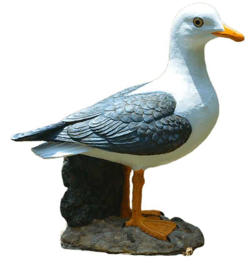 Euiroet Real Seagull Outdoor Sculpture,Garden Bird Statue,Beach Statue Decor,Resin Animal Seabird Ornaments,Coastal Beach Decor,Patio Decor for Outdoor Table Decorfor Garden,Terrace,Lawn,Yard - Image 2