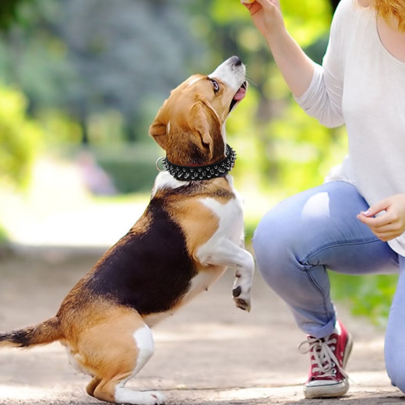 🐾 أطواق كلاب قابلة للتعديل بتصميم مريح للاستخدام اليومي والمناسبات - Image 1