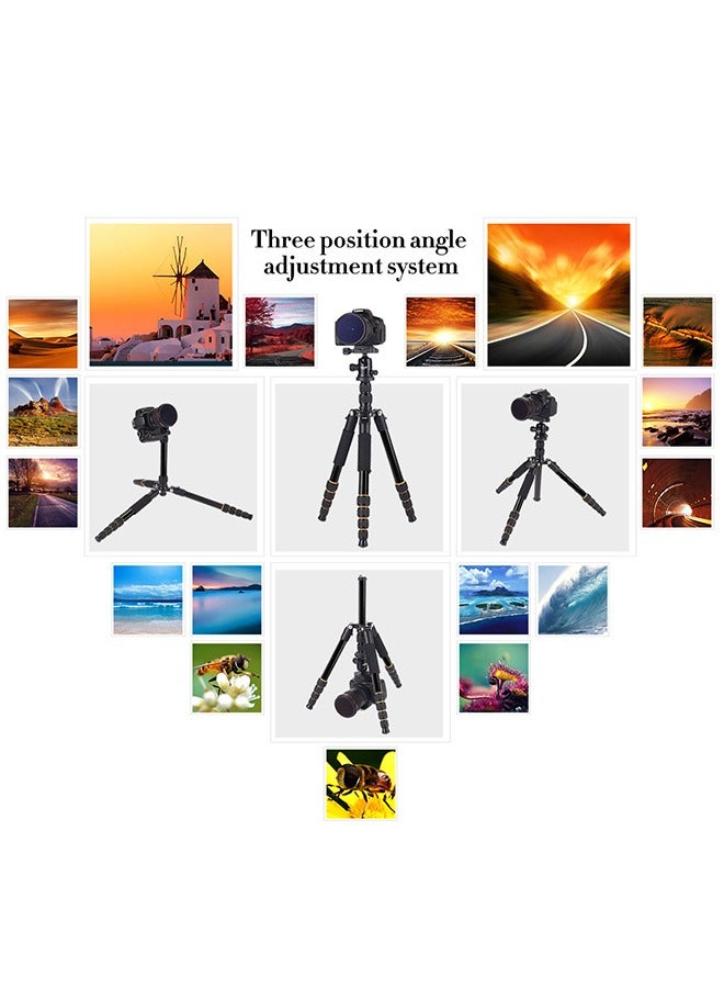 زومي Q-666 حامل ثلاثي احترافي، حامل كاميرا، حامل ثلاثي خفيف وقابل للطي من الألمنيوم للسفر مع رأس كروي 360 درجة لمقاطع الفيديو Nikon Canon Sony وكاميرات DSLR وجميع الكاميرات الرقمية والمناظير وتلسكوبات الليزر. - Image 5