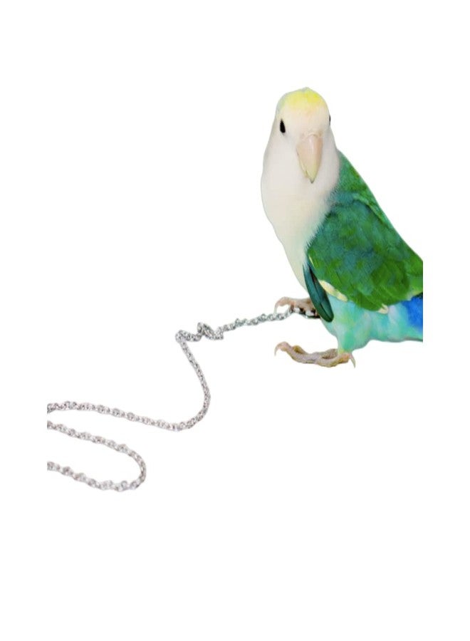 Barn Eleven Bird Foot Chain Flying Stainless Steel Training Rope Outdoor Parrot Ankle Foot Ring Accessories Bird Harness Leash Prevent Escaping (4#) - Image 1